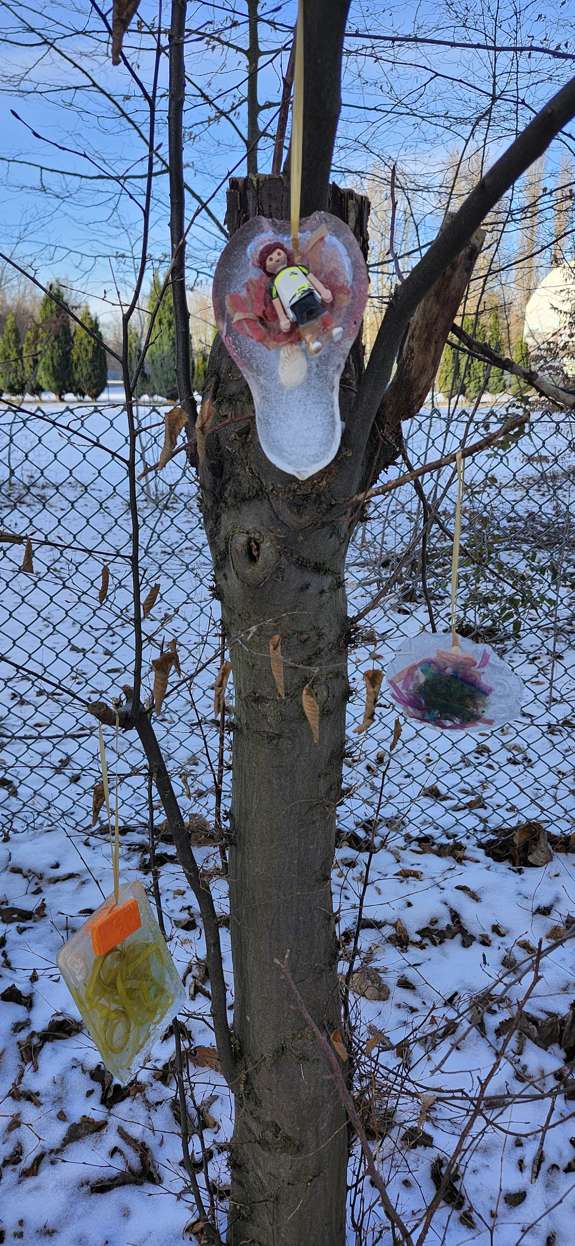 Mehrere Eis-Anhänger der Kinder hängen an einem Baum